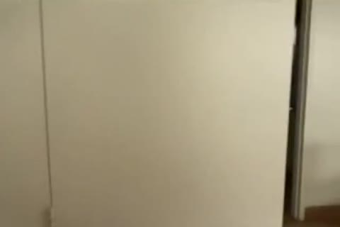 tranny girl Queen Shaky engulf And pound