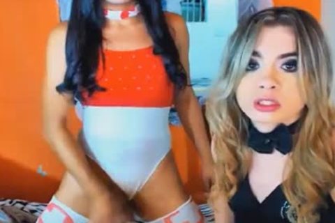 nice-looking tgirl Enjoys shlong sucking