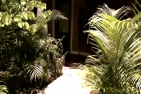 stunning Bride Has A biggest Secret (HD)