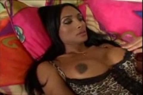 Two dirty trannies And One hoe pounding trio