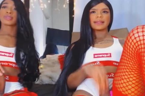 Twin ladyboy Giving Each Other A wild cook jerking
