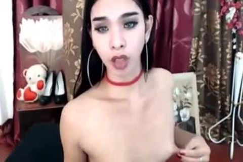 dirty small Tit Ladyboy webcam