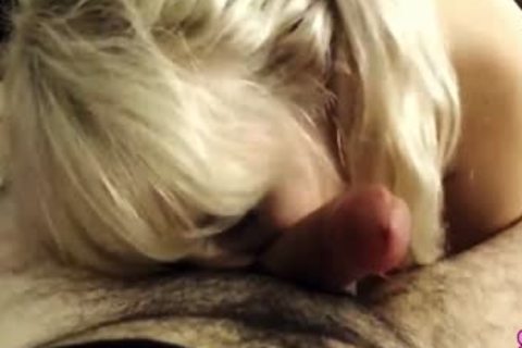 stunning shemale And favourable chap blowjob Sex web camera