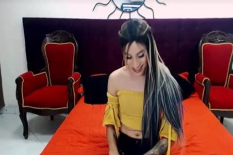 sheboy babe With Tattoo Masturbate On web camera