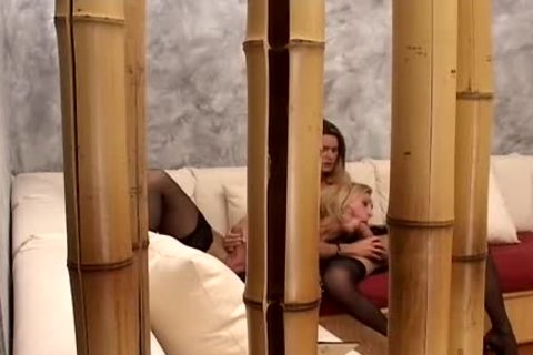 LAURA FERRAZ AND SABRINE DE PAULA slutty TRANNYS