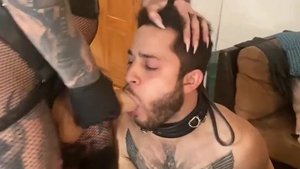 domina, Transexual, And serf
