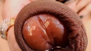 Succulent sheboy Stimulates Herself With fake penis