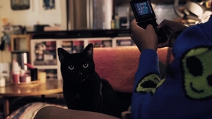 Being Trans 24/7: Vanniall's Unique Path