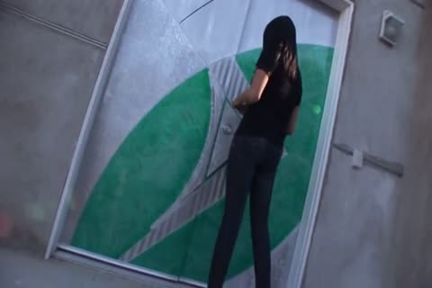 TS BabySitters 6 Pt. 2, Jamie Page